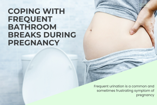Coping with Frequent Bathroom Breaks during Pregnancy